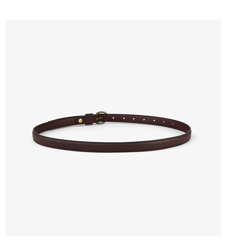 Viney Ladies' Belt, Fashionable Waistband, Decorative Thin Versatile Casual Student Pin Buckle Skirt Belt, Birthday Gift 6