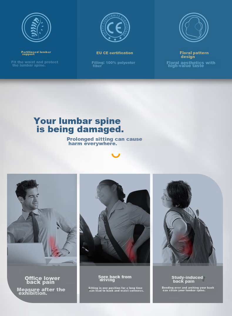 Back2 Lumbar Support Cushion for Office, Ergonomic Back Pillow, Long-Sitting Aid, Car Seat Cushion, Waist Pillow 5