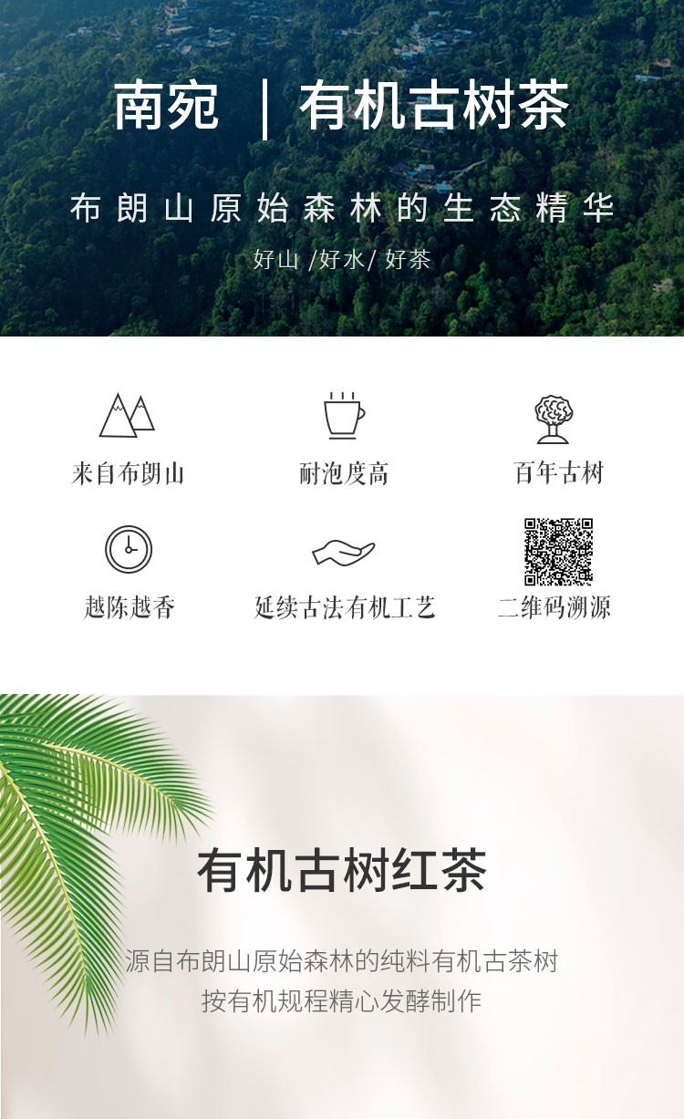 炫彩-1.jpg
