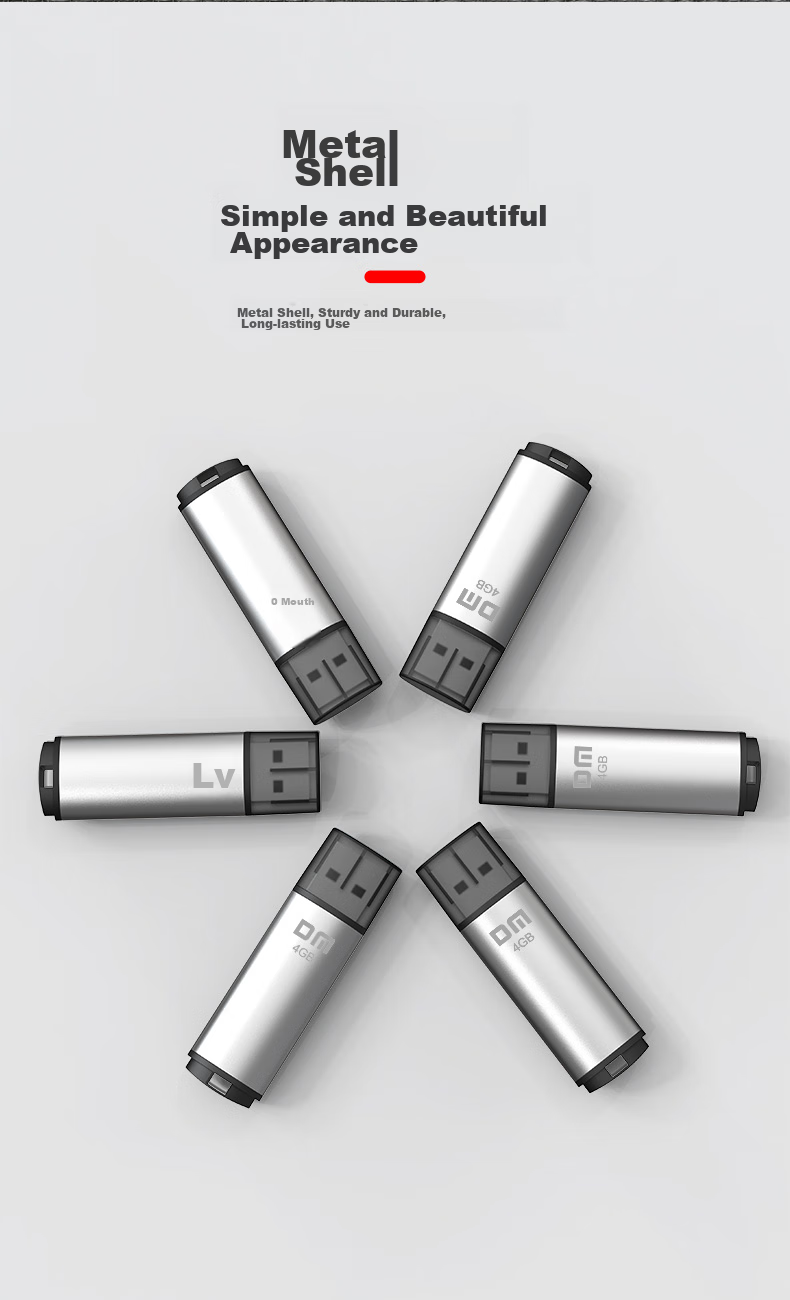 DM Daimai 8GB USB2.0 Flash Drive PD206, Silver, Small USB Drive for Bidding And Tenders, Enterprise Competition Computer Car USB Drive 5