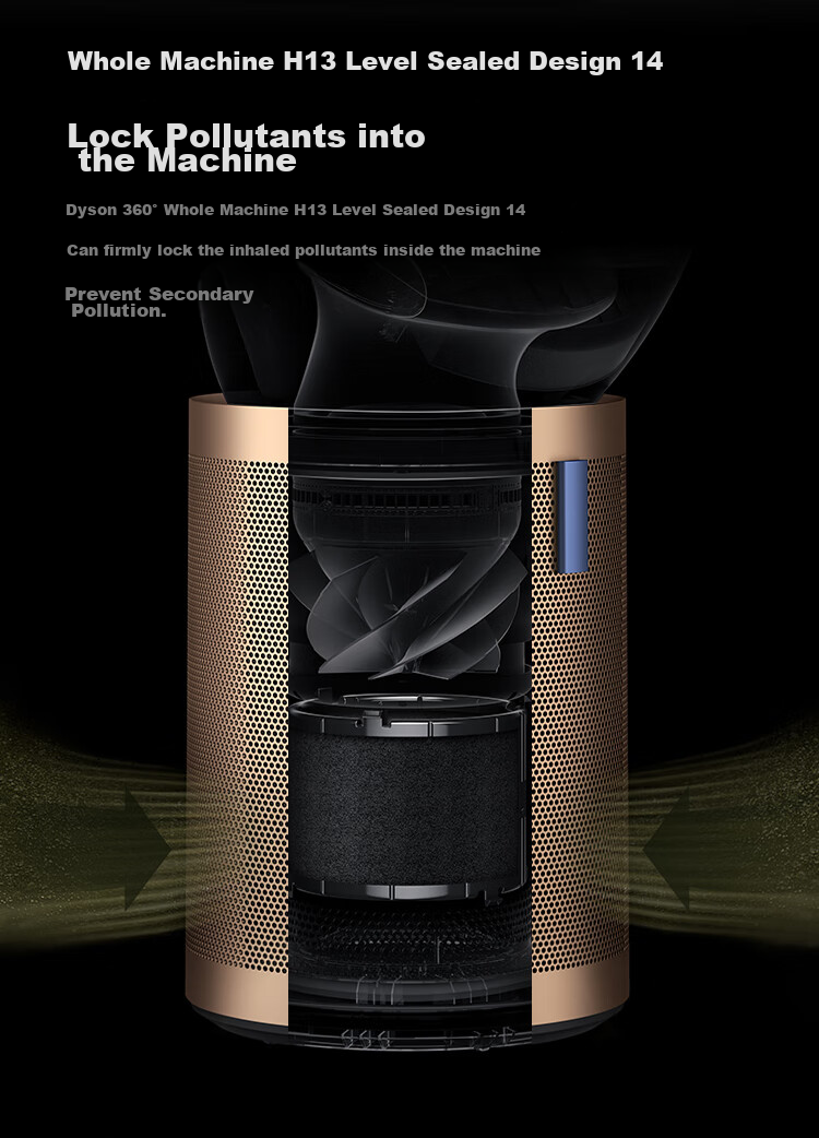 DYSON BP04 Air Purifier Removes Viruses, Large Area Cleans Allergens And Formaldehyde, Eliminates PM2.5 Pet Hair, Medical Grade, Pet-Friendly Certified, Blue-Gold Color 12