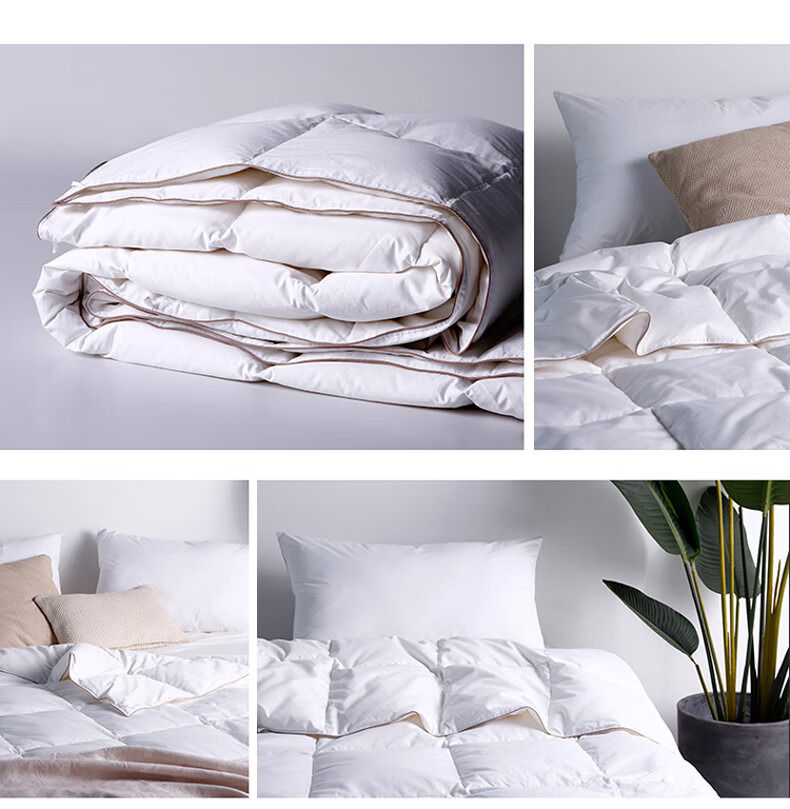Sinuoman High-Quality 100% Imported 95% White Goose Down Duvet Insert, Comforter for Air Conditioning And Heating, 2.2*2.4m, 320g Filling, Gray 23