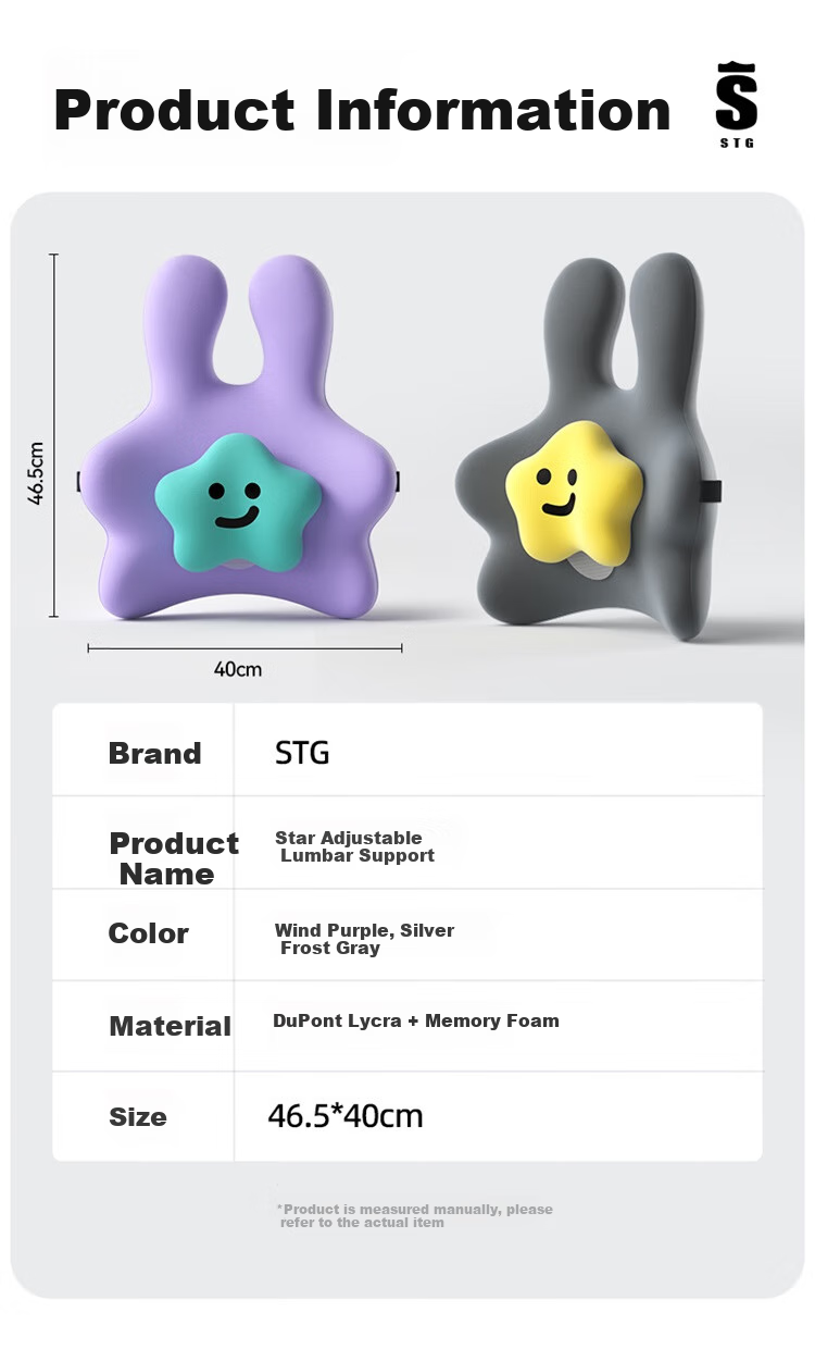 SITGOOD Lumbar Support Cushion, Office Back Pillow, STG Seat Pad, Long-Sitting Waist Protector, Mid-Autumn Festival Gift, Purple 16
