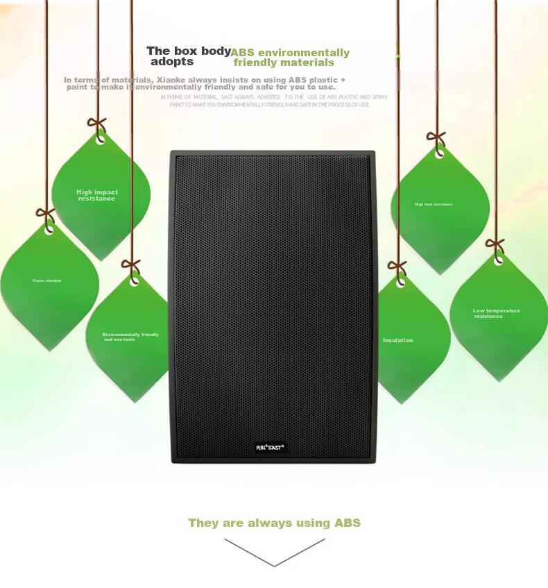 SAST DW70 Constant Voltage Wall-Mounted Speaker, 30W, for Meetings, Shops, Commercial Use, Engineering, Passive Conference Rooms, Dance Studios, Home Use, Background Music, Public Address System Speakers, Black 6