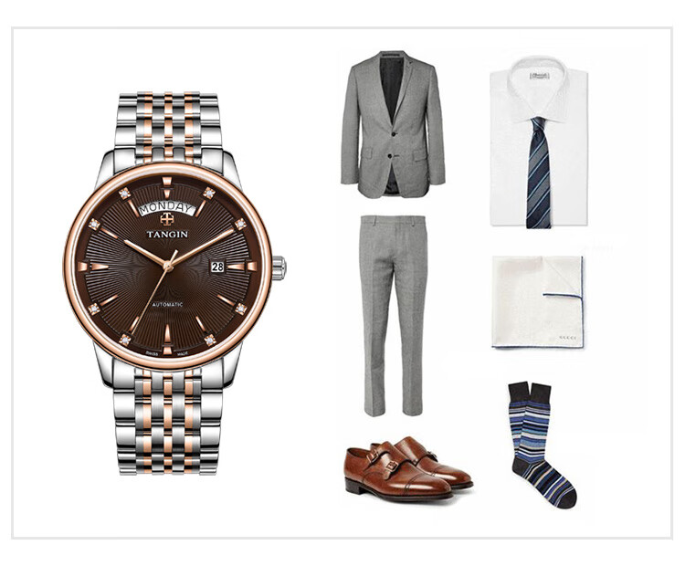 TANGIN Swiss Men's Watch, Imported Swiss Watch, Fully Automatic Mechanical Watch for Men, Birthday Gift for Me 20