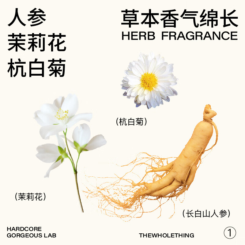 硬核颜究所人参茶整箱一整根人参水0糖0脂饮料 淡雅茉莉480mL*6瓶