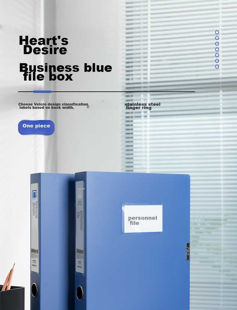 Deli 50mm A4 Plastic File Box, Thickened Accounting Archive Box Document Box File Box Financial Voucher Box Exam Storage 5623 2