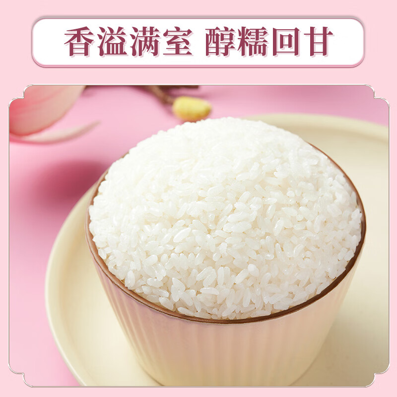 十月稻田 十月稻田 当季新米 香稻贡米 东北大米 5kg（香米 粳米十斤）