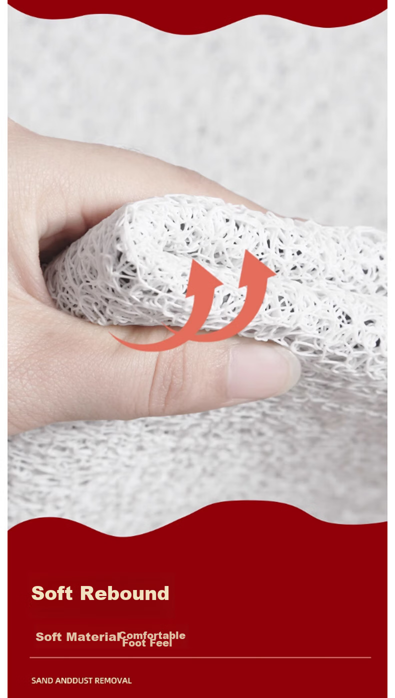 MOON TIME Entrance Mat, Doorway Foot Mat, Red Silk Loop Non-Slip Floor Mat, 60*90cm Wanfu Mao 5