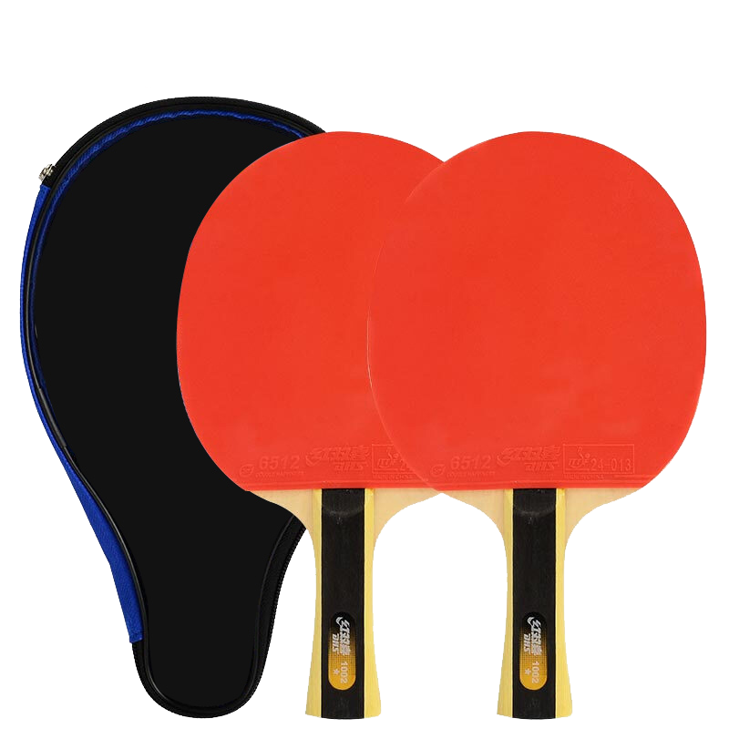 DHS One-Star Penhold Paddle Set (Fast Shipping from Beijing Warehouse + 6 Balls + Paddle Case), Table Tennis Racket H1002 Penhold Double Paddle