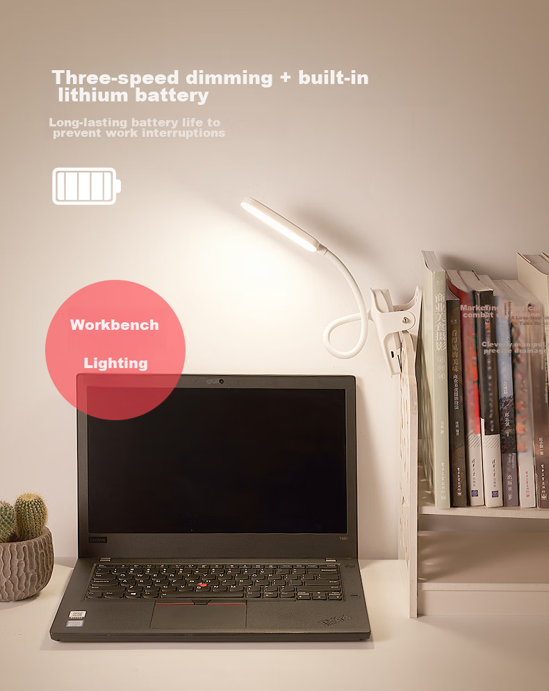 DELIXI Dual-Use Desk Lamp with Charging Port, Home Study Reading Light, Bedroom Dorm Clip-On Lamp Bedside Lamp 4