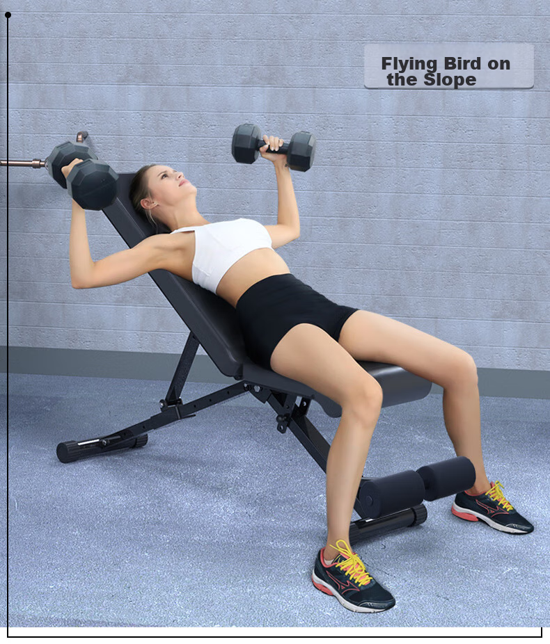 GK Multifunctional Folding Dumbbell Bench, Fitness Chair, Fly Bench, Sit-Up Board, Home Gym Equipment, Bench Press Fitness Bench 2