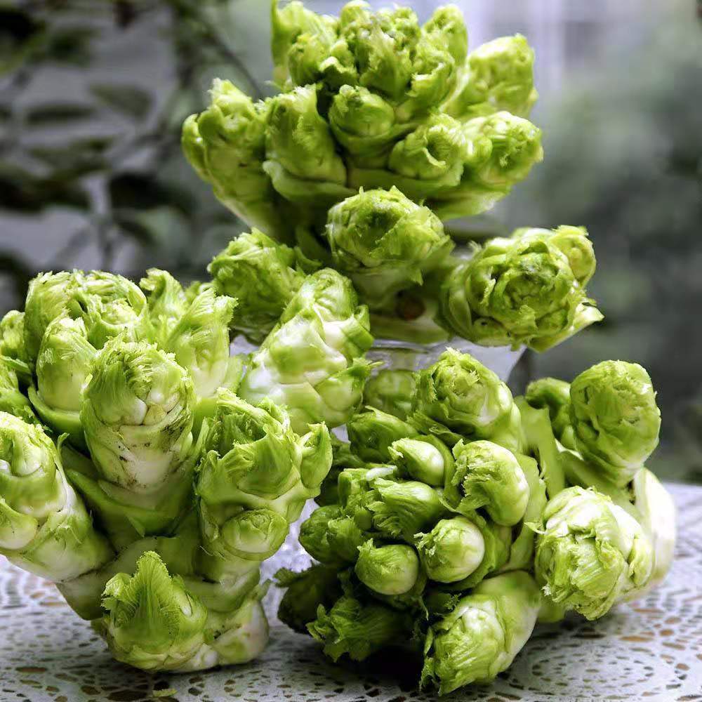 鲜特莱 企业餐饮装 儿菜 1kg