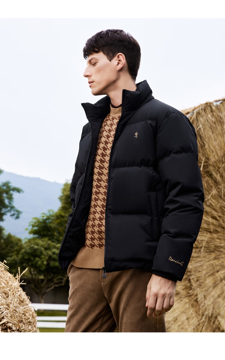 DANCING WOLVES [90% Goose Down] Autumn And Winter Heat-Locking Warm Stand-Collar Workwear Jacket Men's down Coat, 001 Black, Size 165 13