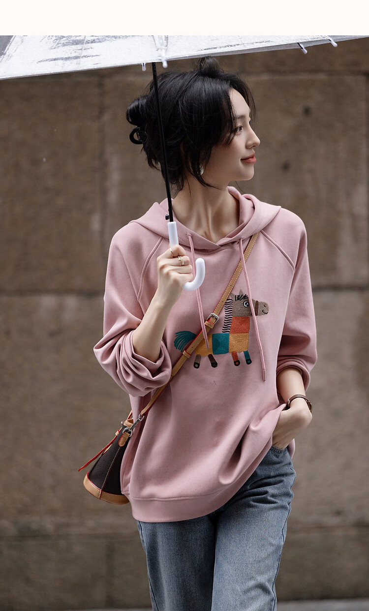 DME "Fresh Clothes and Angry Horses" Embroidered Hoodie, Spring and Autumn Age-Reducing Weapon, Soft 350G Air Layer Hooded Top 20