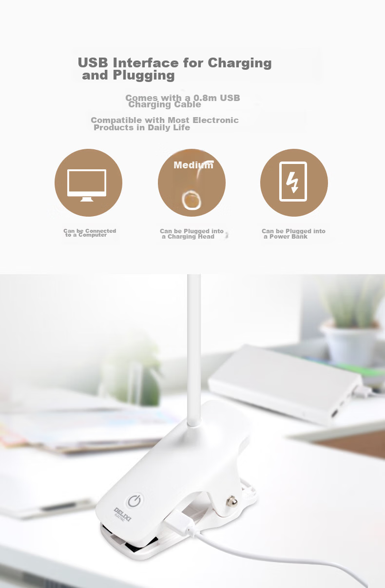 DELIXI Dual-Use Desk Lamp with Charging Port, Home Study Reading Light, Bedroom Dorm Clip-On Lamp Bedside Lamp 10