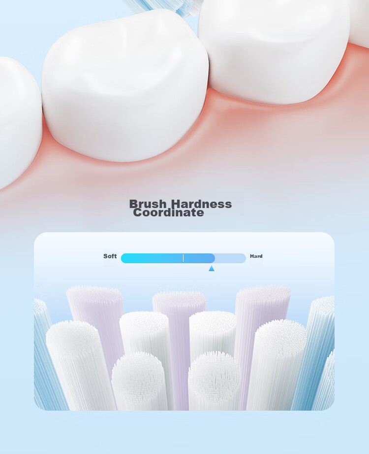 Mijia Xiaomi Sonic Electric Toothbrush Heads (All-In Whitening Type), 2-Pack, Compatible with T501/T501C, White Birthday 7
