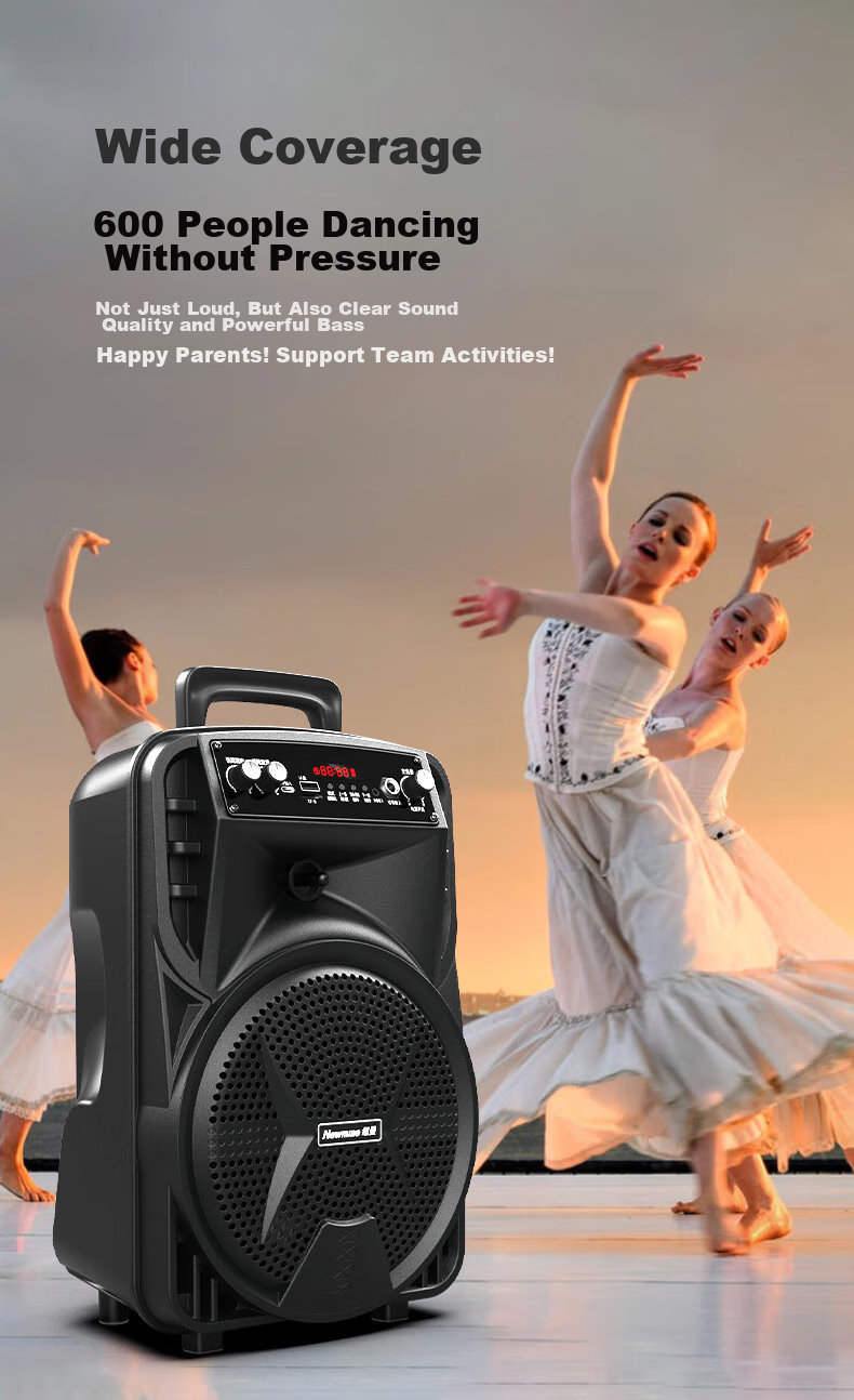 Newmine N557 Square Dance Speaker Outdoor High Power Portable Trolley Loud KTV HiFi High-Quality Bass Elderly Gift 4