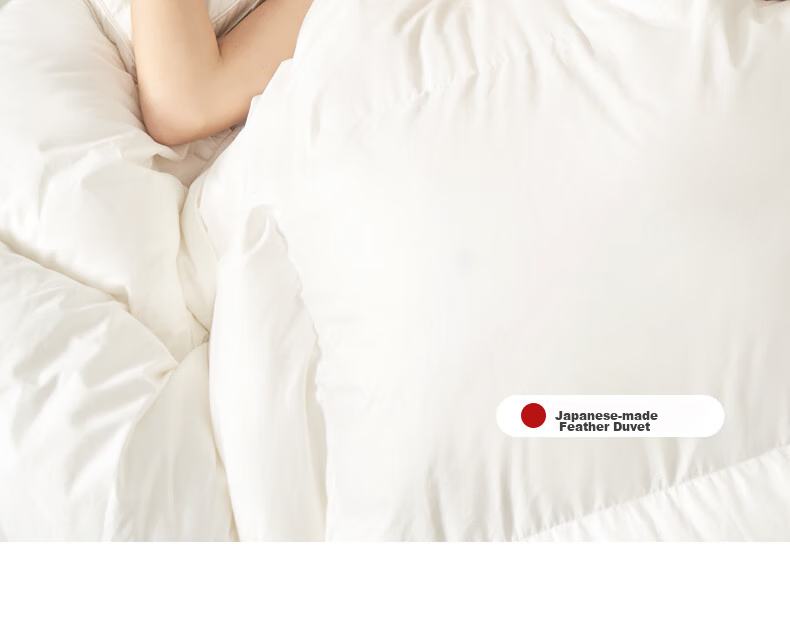 Interlagos Ergonomic 95% White Goose Down Comforter, Japanese Imported Duvet Insert, 700g Winter Quilt, 150*200cm 2