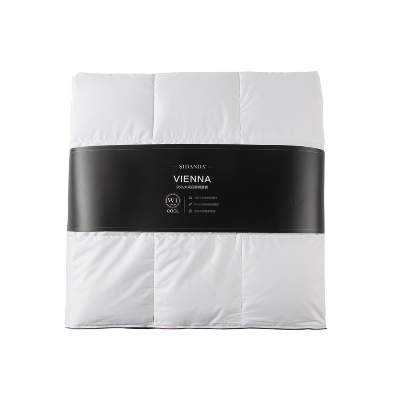 SIDANDA down Comforter, 4A Grade 95% White Goose Down, 100 Count Pure Cotton Antibacterial Goose Down Filling, Summer Quilt, 200*230cm