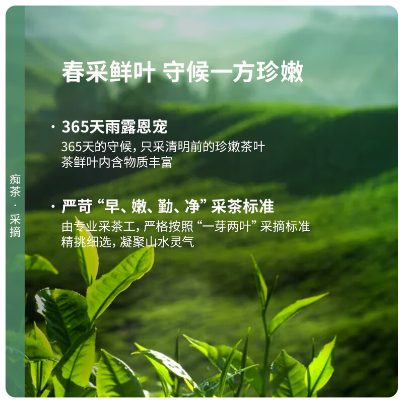 卢正浩绿茶痴茶钱塘龙井茶叶特级120g2025年新茶明前茶叶礼盒长辈送礼