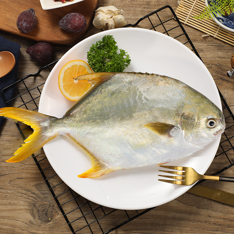 翔泰海南大规格金鲳鱼550g1条海鱼生鲜鱼类火锅 海鲜水产