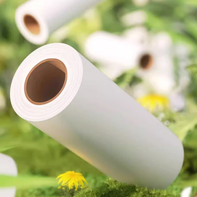 CHUSHE Lint Roller Refill Paper, 24cm Universal, 8 Rolls Totaling 480 Sheets, Pet Cat Dog Carpet Sofa Hair Removal Tool 2