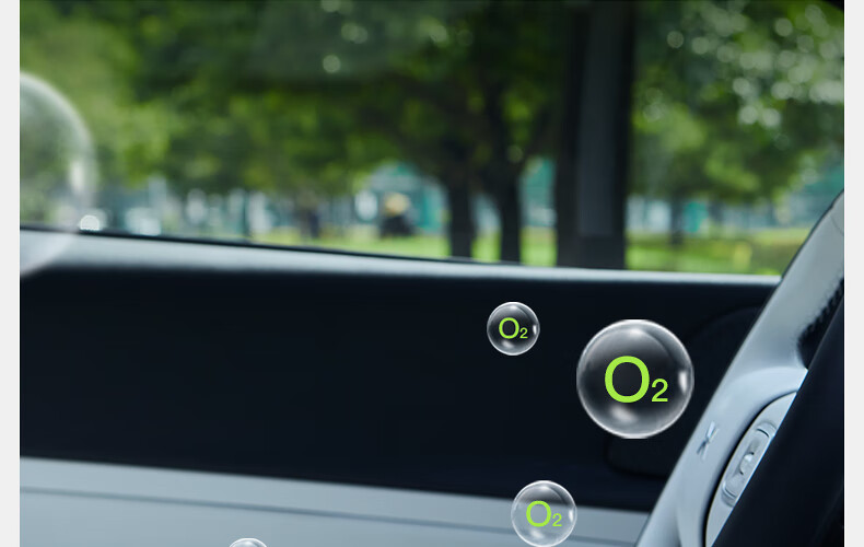 DGQ Car Air Purifier, New Car Formaldehyde And Odor Removal, Car Deodorizer, In-Car Smoke Eliminator, Smart Ozone Control C1 23