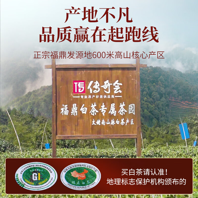 传奇会茶叶福鼎白茶白毫银针礼盒装300g 4年陈老白茶紧压茶饼自己喝送礼