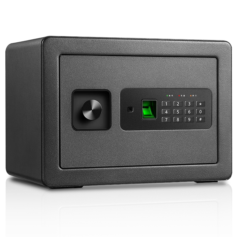 Deli Safe, Home And Office Fingerprint Password Security Box, Small Hidden Confidential Cabinet, Built-In Wall Or Cabinet Private Box, Financial-Specific 25cm Obsidian Black