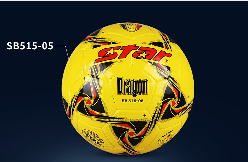 Star Star Youth Soccer Ball Size 5 Hand-Stitched Training And Match Ball SB515-05 9