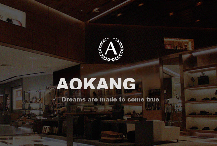 Aokang Women's Handbag, 2026 New Trendy Underarm Bag, Light Luxury Shoulder Tote Bag, Birthday 520 Gift for Girlfriend Or Wife 1
