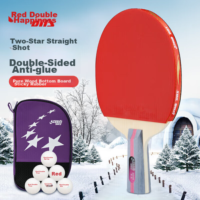 DHS Table Tennis Racket, Two-Star Straight Handle, Single Racket F2006, Includes Racket Case + Ping Pong Ball