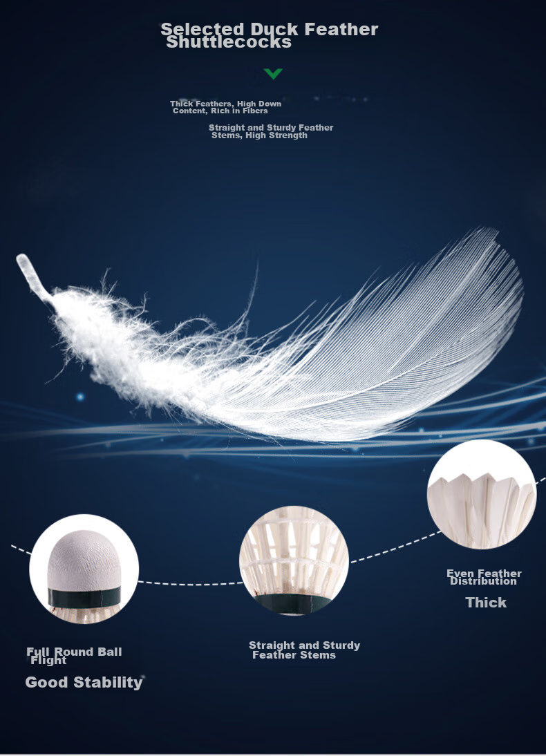 VICTOR Badminton Master Competition Training Feather Shuttlecocks Stable Flight Durable Recommended 12pcs Master No.6 Speed 77 1 Tube 8
