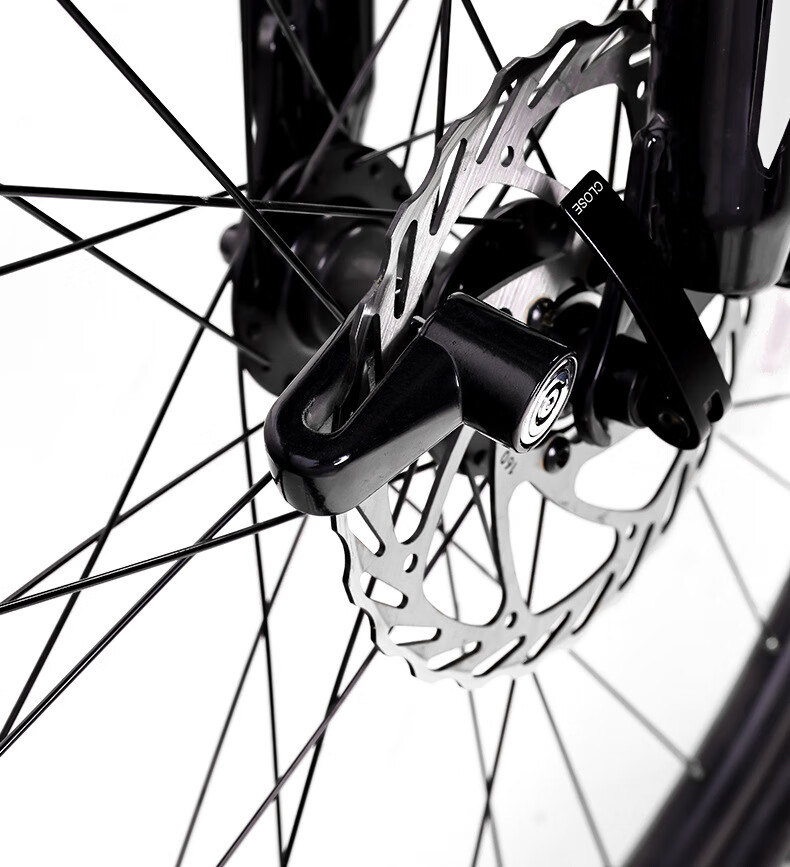 BIKEBROS Mountain Bike Lock, Electric Bicycle Lock, Motorcycle Disc Brake Lock, Anti-Theft Bicycle Lock with Lock Rack, Black 13