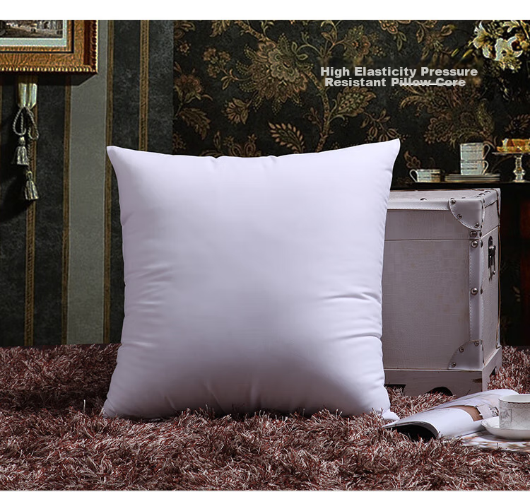 AVIVI High-Elasticity Sofa Cushion Core, Square Pillow Core Car Backrest Cushion Core Lumbar Support Core Bedside Backrest Pillow Core 50*50cm Single Piece 1