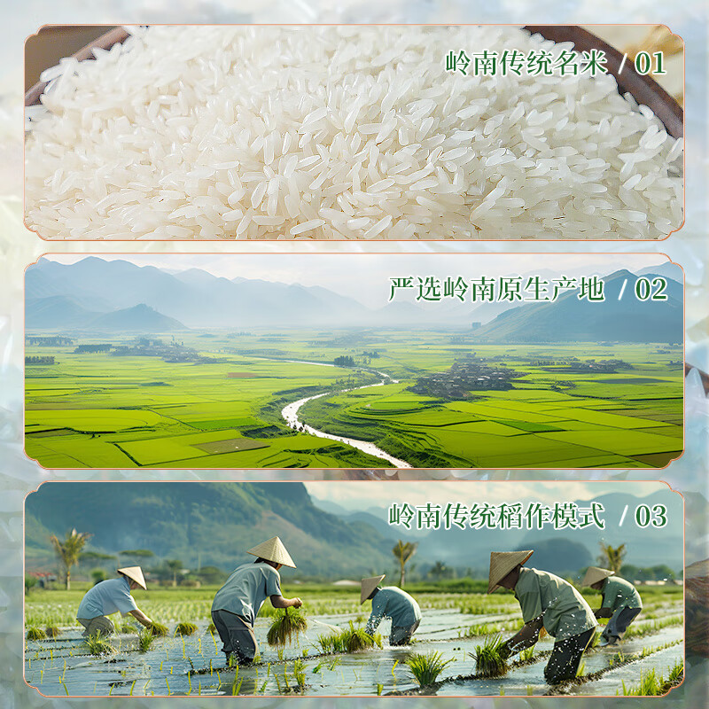 福佑.岭南人家 丝苗米 大米5kg 猫牙米 油粘米 长粒米 大米10斤