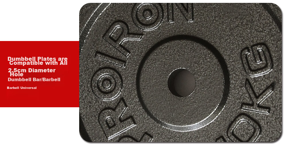 PROIRON Puli'ai, Barbell And Dumbbell Weight Plates for Men, Cast Iron Home Weightlifting Plates, Hole Diameter 2.5 Cm, 10 Kg * 2 7