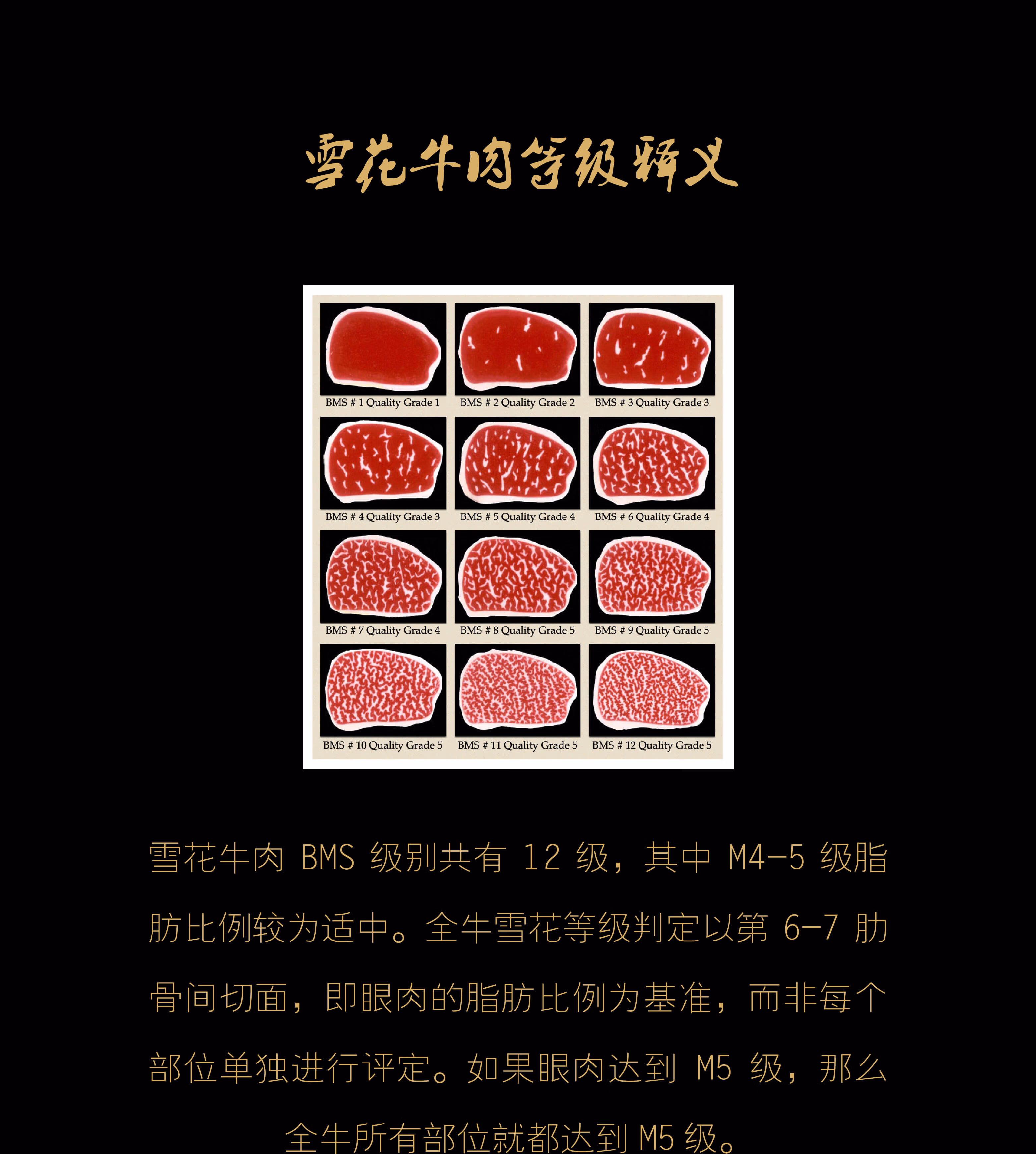 神泽 新西兰m5嫩肩牛排 200g 2-3片装 谷饲安格斯 进口原切牛排_366