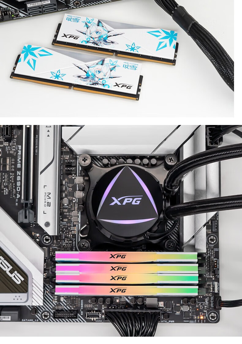 ADATA 32GB (16GB X 2) Kit, DDR5 6000 Desktop Memory Module, Hynix A-Die Chips, XPG Longyao D500G (White), CL26 4