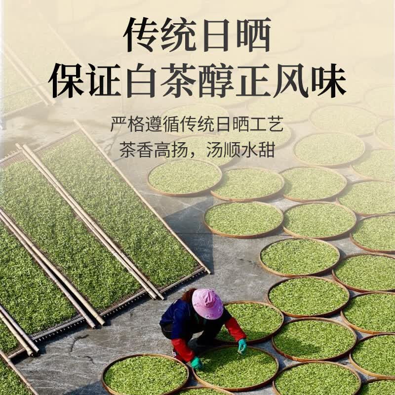传奇会茶叶白茶传奇一号系列福鼎白茶白牡丹源产老白茶500g自己喝送礼