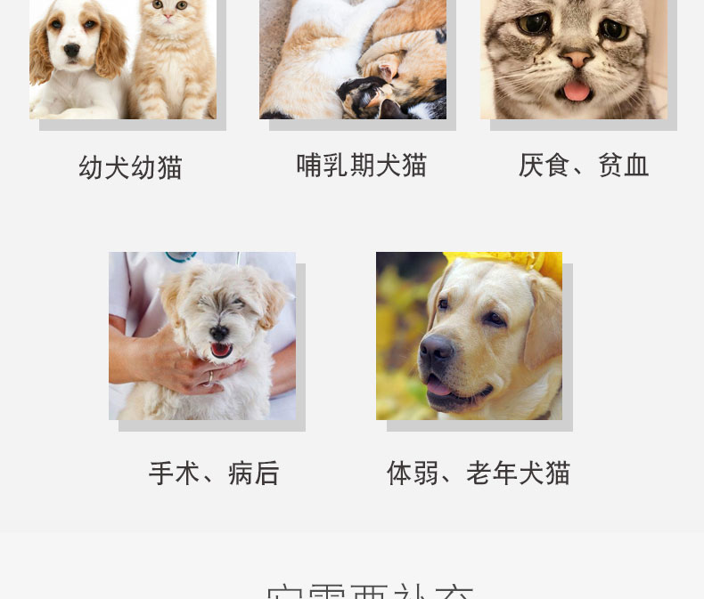 King魔方营养膏猫咪狗狗幼猫幼犬补充营养术后恢复宠物增肥维生素微量元素增强免疫力膏剂1g 商品详情