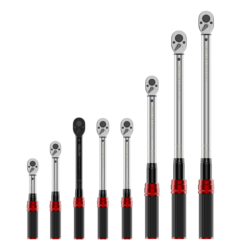 DELIXI Torque Wrench, High-Precision Torque Wrench, Kilogram Plate, Adjustable Spark Plug Wrench for Auto Repair