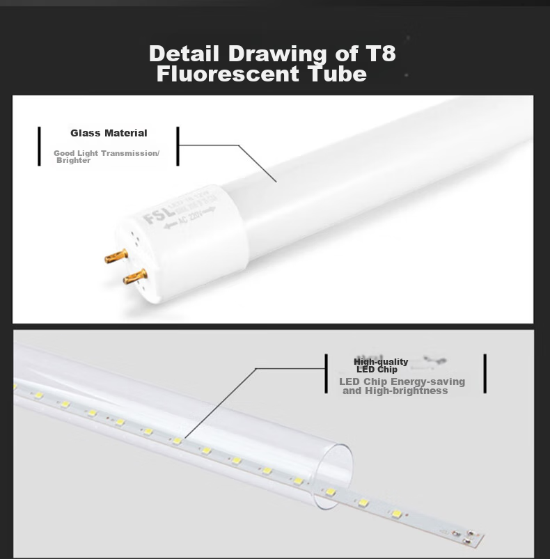 Foshan Lighting (FSL) T8 LED Tube, Double-Ended Power Supply, Energy-Saving Daylight Lamp, 1.2 Meters, 40W, Cool White (6500K), Pack of 5 4
