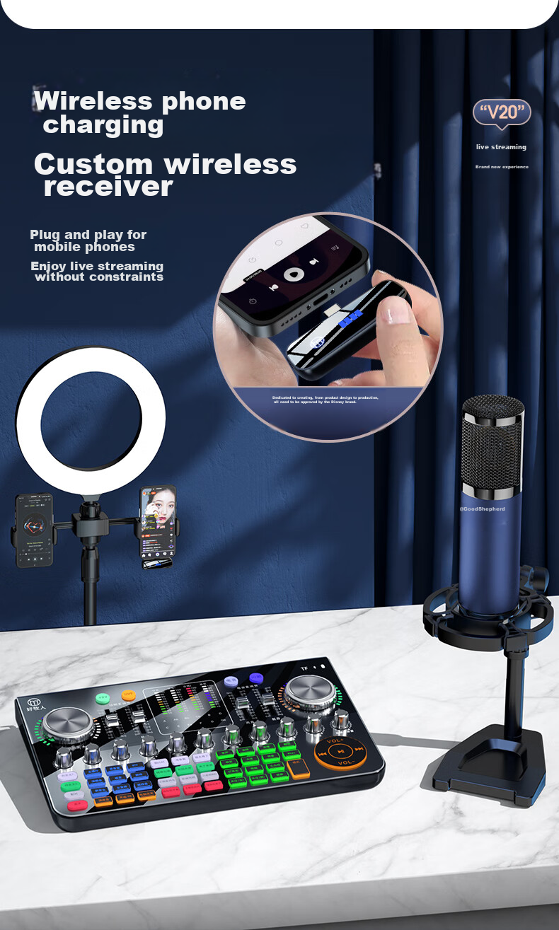 Haomuren V20 Professional Sound Card Live Streaming Equipment Full Set, Wireless Microphone, Outdoor TikTok Host Singing Mobile-Specific Karaoke Mic, Bluetooth Computer Voice Changer 3