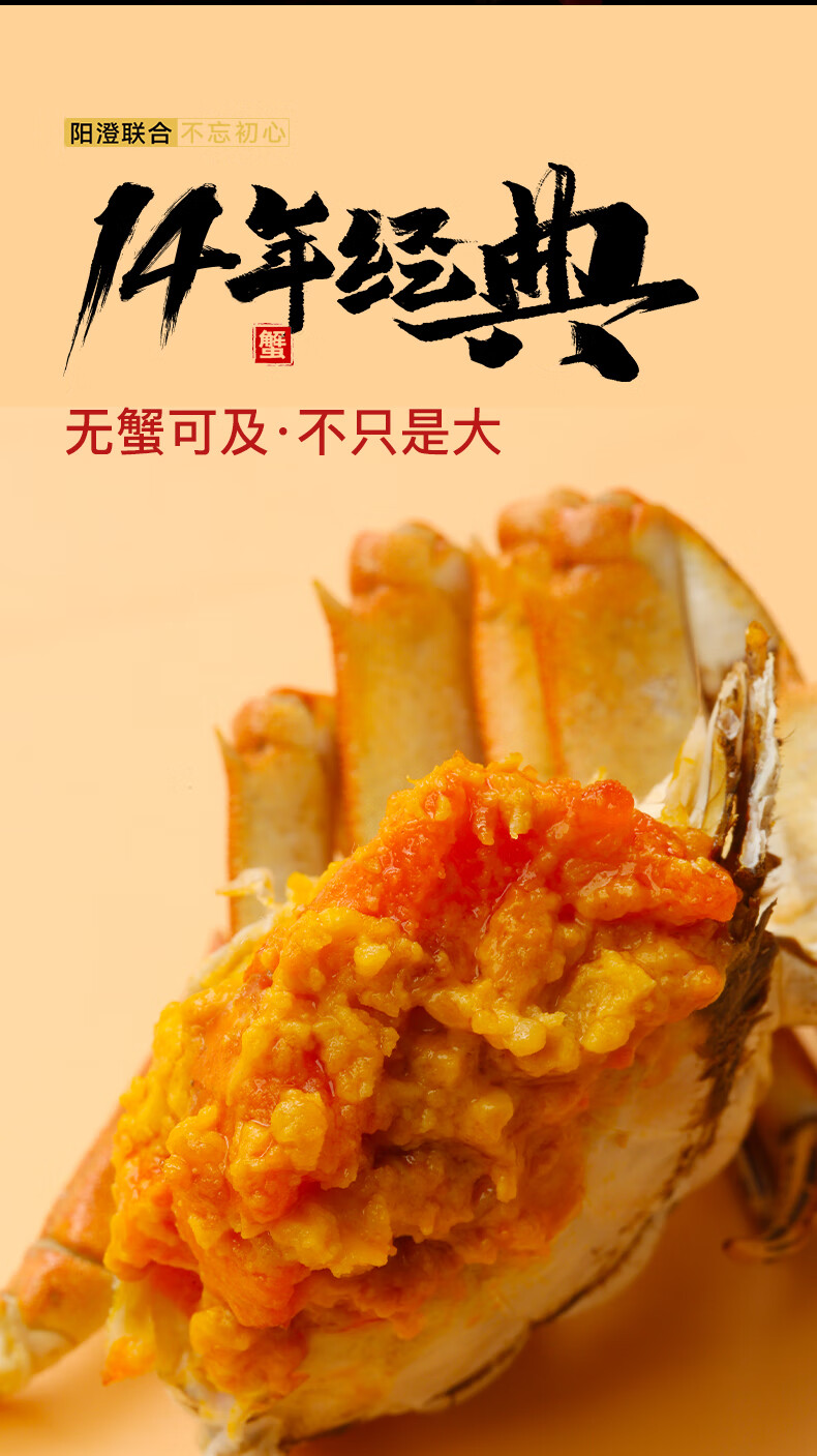 阳澄湖大闸蟹开捕 “品蟹游”激活金秋消费