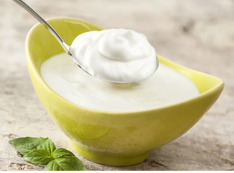 德国进口田路佳gofieldro原味酸奶200ml24盒整箱装