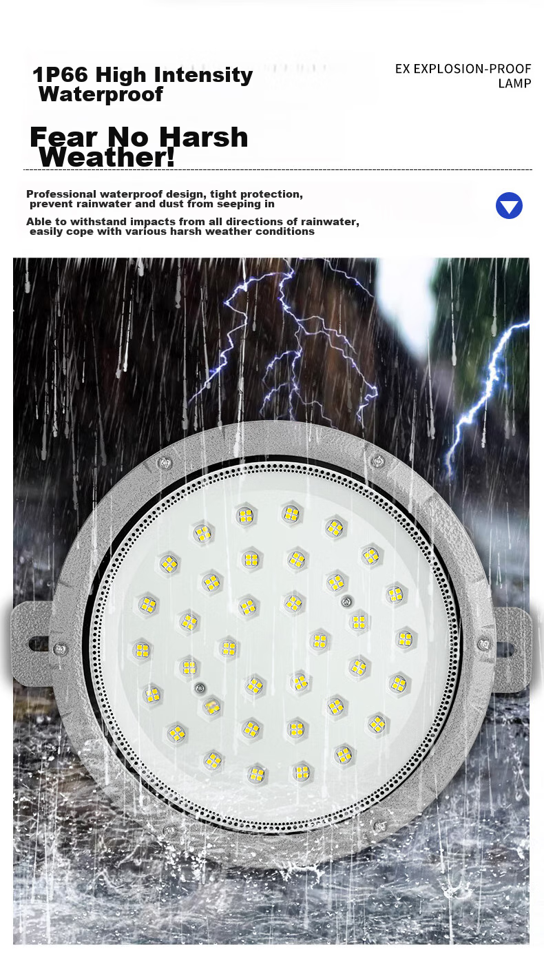 Xinya Explosion-Proof Light, LED Ceiling Light, IP65 Rated, Explosion-Proof Type for Factories And Warehouses, Gas Station Workshop Lighting, Explosion-Proof Floodlight, 50W 9