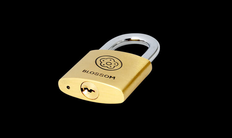BLOSSOM Copper Padlock, 30MM, Anti-Pick, Rust-Resistant, Durable, Brass Lock Core, Cabinet Lock, Drawer Lock, 9030 6