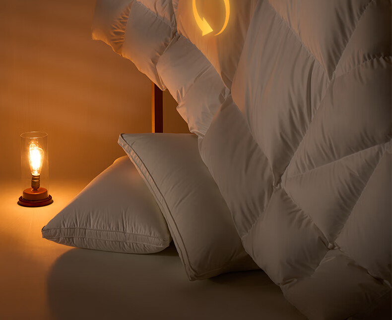 Interlagos Ergonomic 95% White Goose Down Comforter, Japanese Imported Duvet Insert, 700g Winter Quilt, 150*200cm 22
